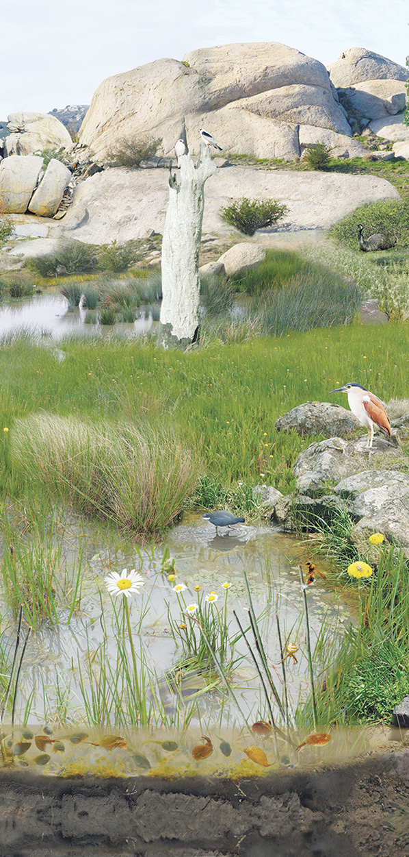 Panel 10: Wetlands Through The Seasons