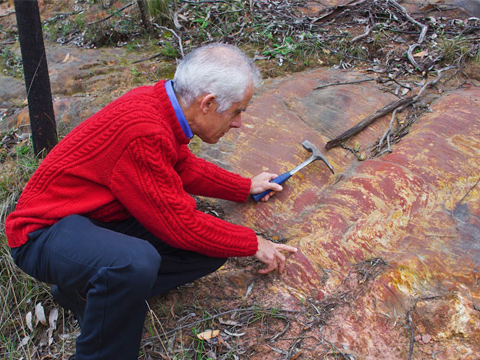 Examining a trackway