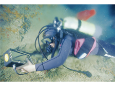 Hydrogeologist