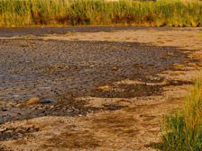 Dry wetland