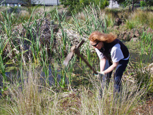 Horticulturalist at Ecolinc