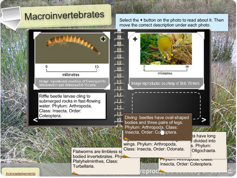 Discovering Wetlands: interactive quiz