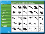 Discovering Wetlands: macroinvertebrate ID tool