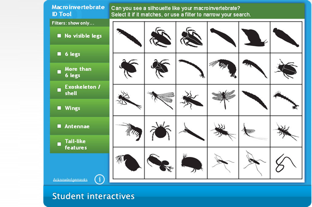 Macroinvertebrate ID tool