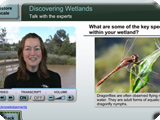 Discovering Wetlands: talk with the experts